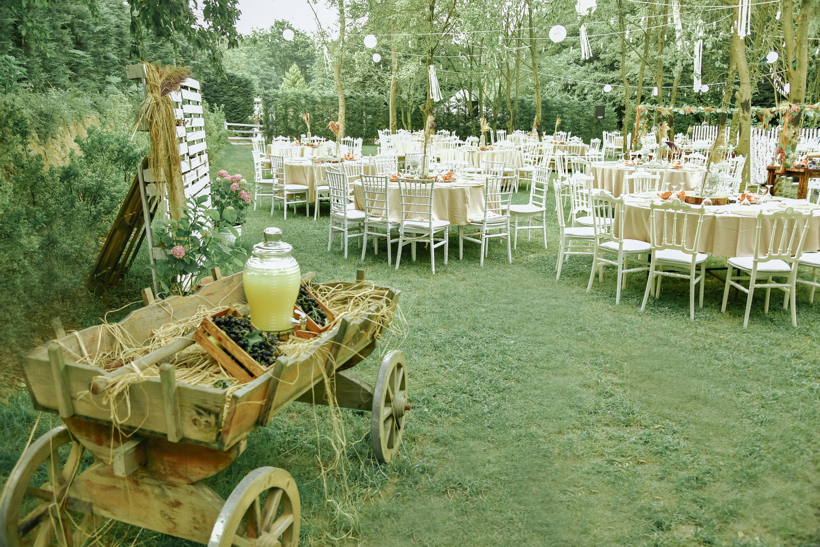 Gallery image 48